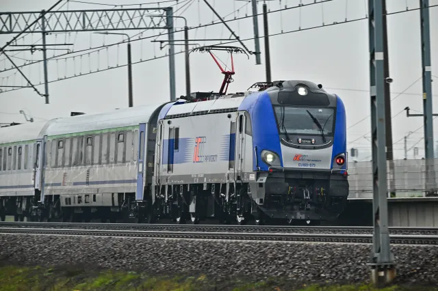 Intercity "Żubr" zderzył się z żubrami. Są opóźnienia na kolei