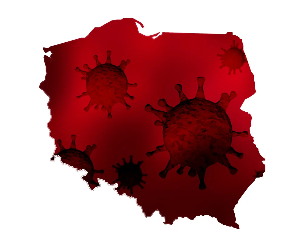 Polska, koronawirus, epidemia, pandemia, wirus, covid-19, mapa. / fot. Shutterstock