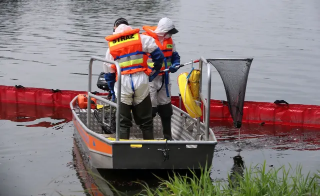 Śnięte ryby w Odrze. PiWet opublikował najnowsze badania