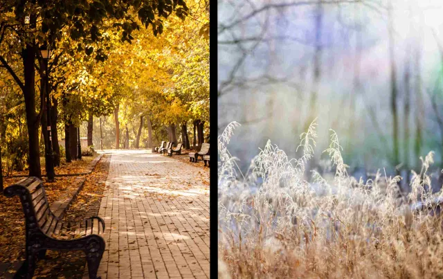 Jaki będzie 1 listopada i kiedy spadnie śnieg? Najnowsza pogoda długoterminowa