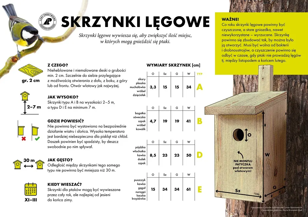 budki-legowe-dla-ptakow-kiedy-jak-i-gdzie-wieszac-lasygovpl-38126846.jpg