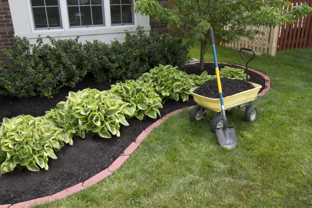 Wymieszaj 2:1 i spryskaj chwasty. Szybko się ich pozbędziesz, a ogród odżyje