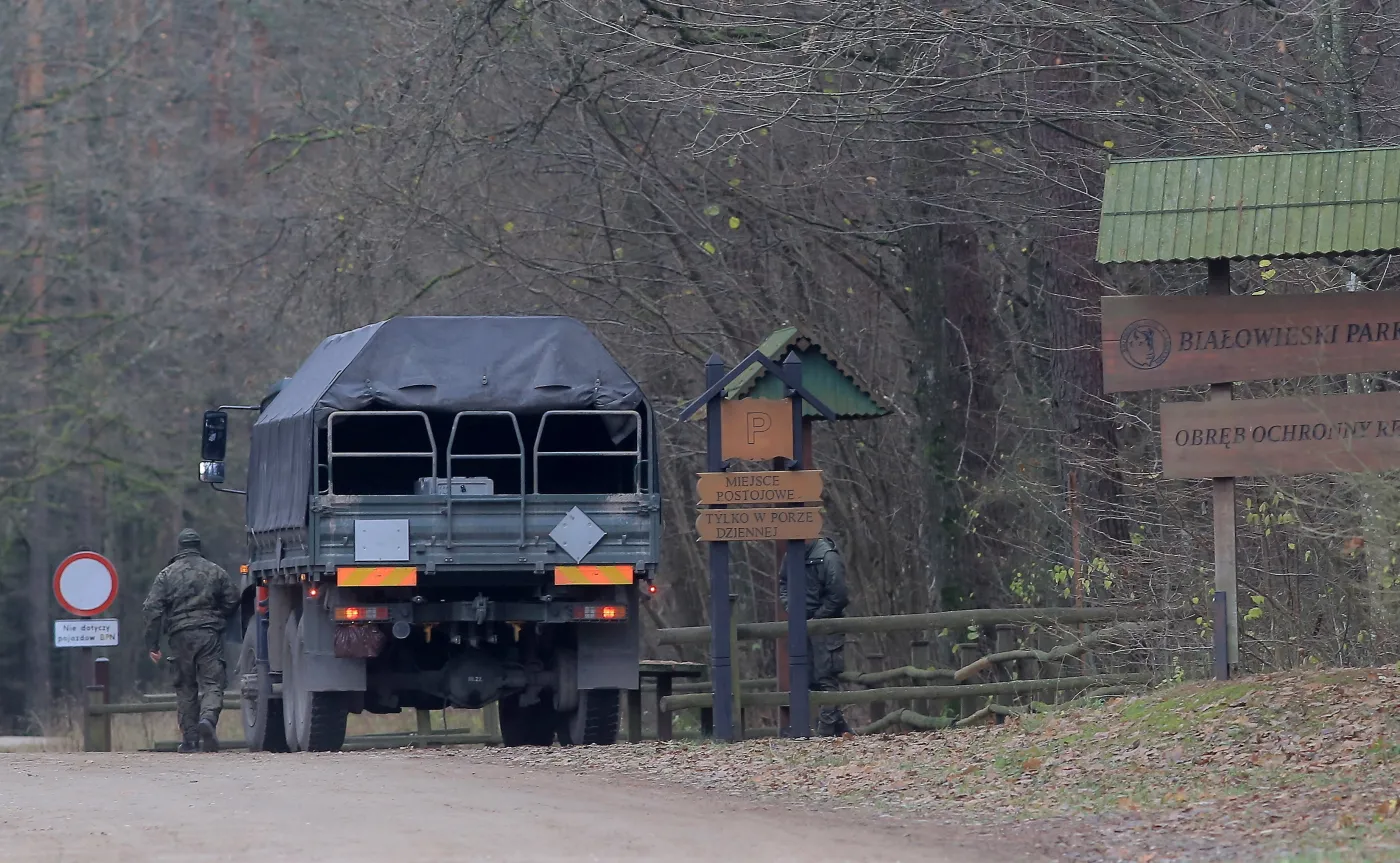 "Pojedyncze dymisje nie wystarczą". Politycy PiS: Muszą polecieć głowy
