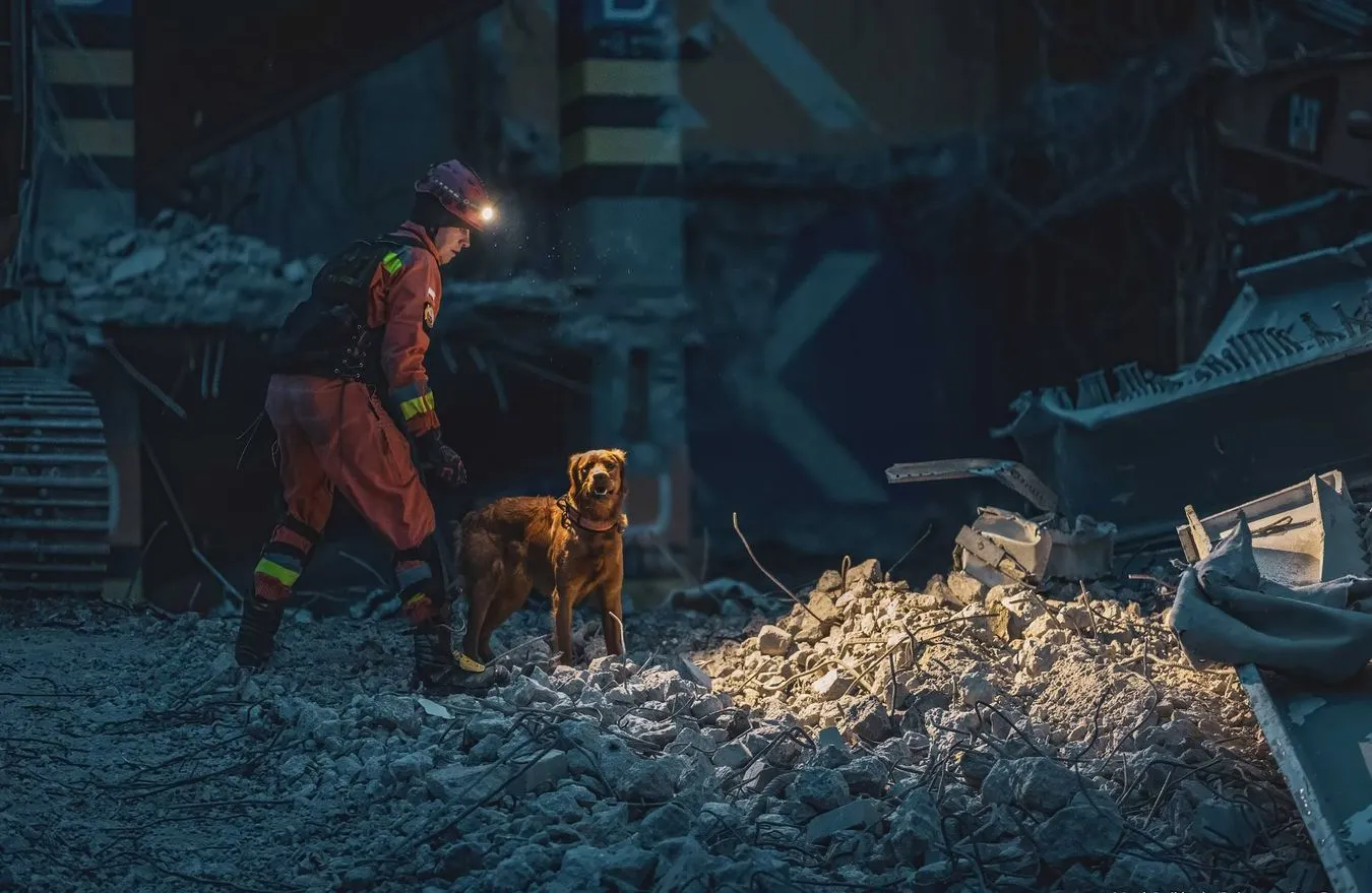 Ponad tysiąc psich funkcjonariuszy wspiera pracę służb MSWiA