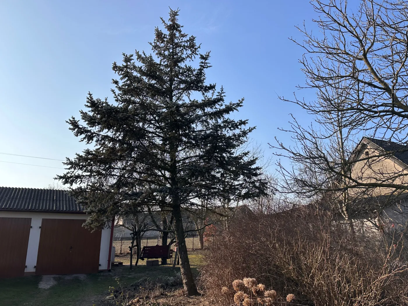 Kara 4000 zł za działanie bez pozwolenia! Ten przepis zaskakuje właścicieli działek. Urzędnicy nie mają litości!