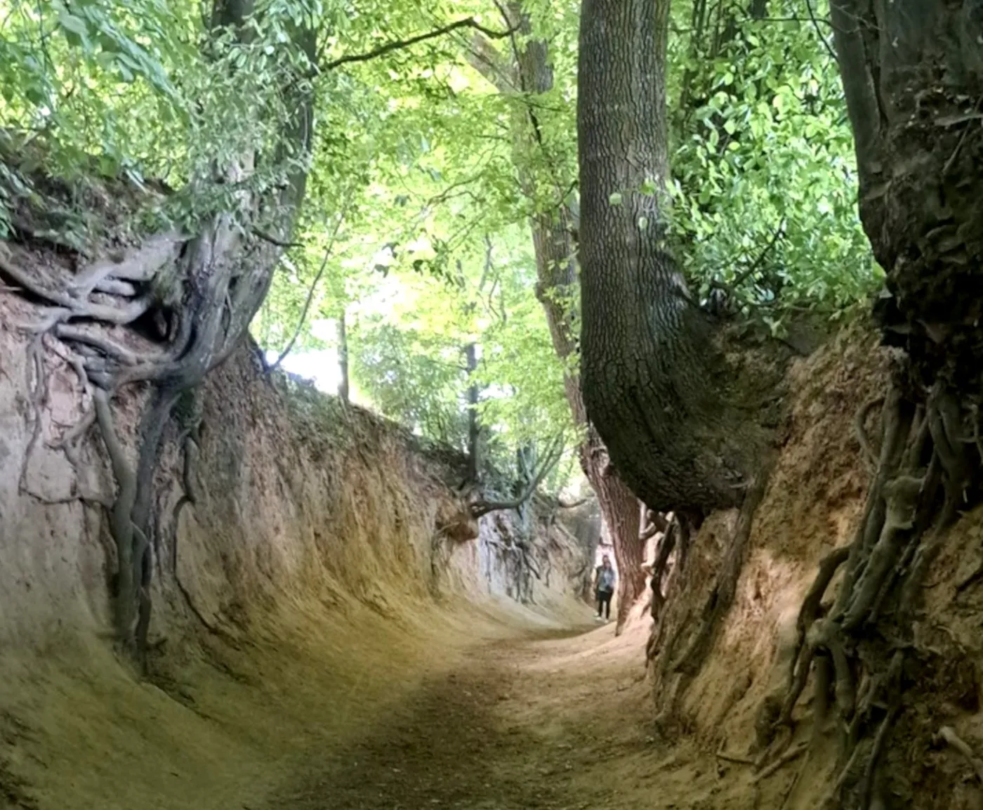 20 czerwca - dzień wolny od pracy? To święto państwowe w 2025 roku!