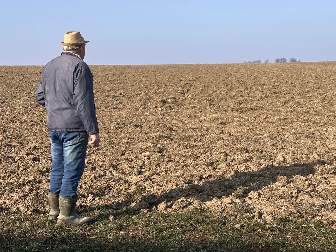 Ekoschematy 2025 ARiMR – od ilu hektarów? Jakie punkty za ekoschematy? Jakie stawki i terminy składania wniosków?