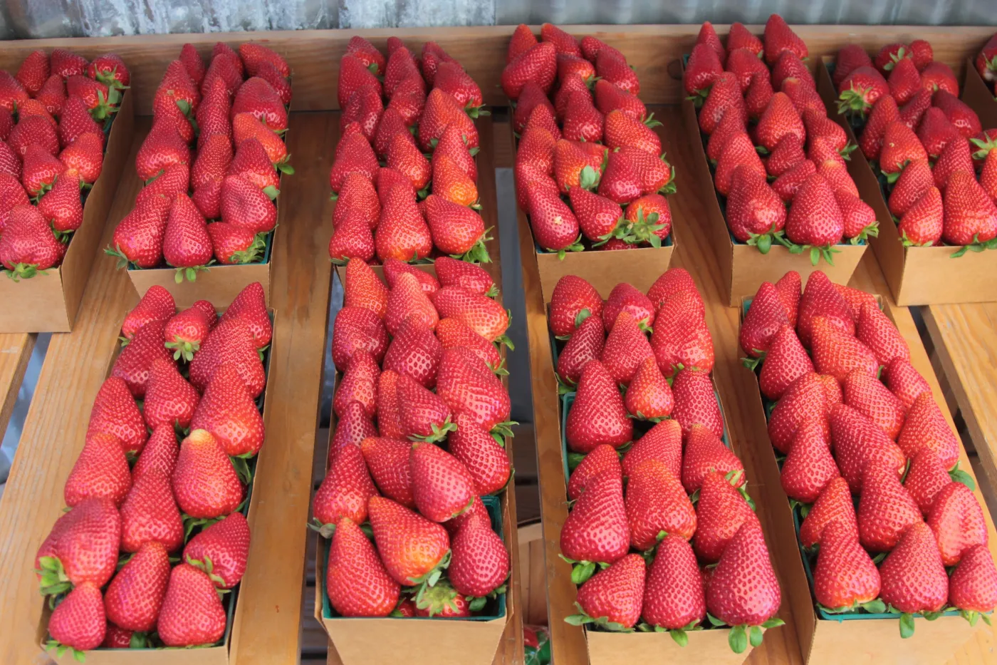 Tak można łatwo sprawdzić, czy truskawki były pryskane. Prosty sposób