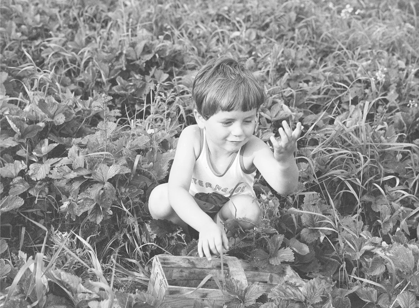 To imię było hitem w czasach PRL. Dziś niemal zniknęło