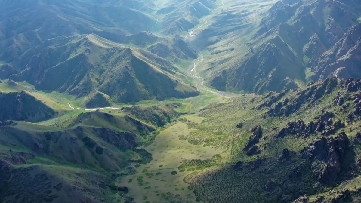 Zielona pułapka Chin. Naukowcy biją na alarm