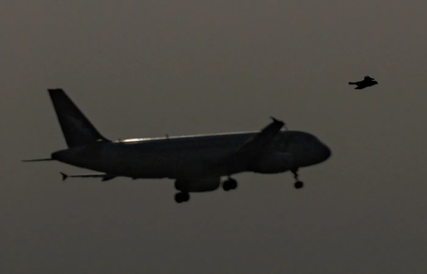 Biura podróży były na krawędzi bankructwa. Ale to to nie koniec problemów. "Jedni stracą, inni zyskają"