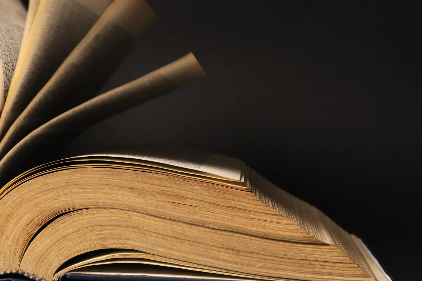 QUIZ ze szkolnych lektur. Z której książki pochodzi ten cytat? Uważaj na ostatnie pytanie