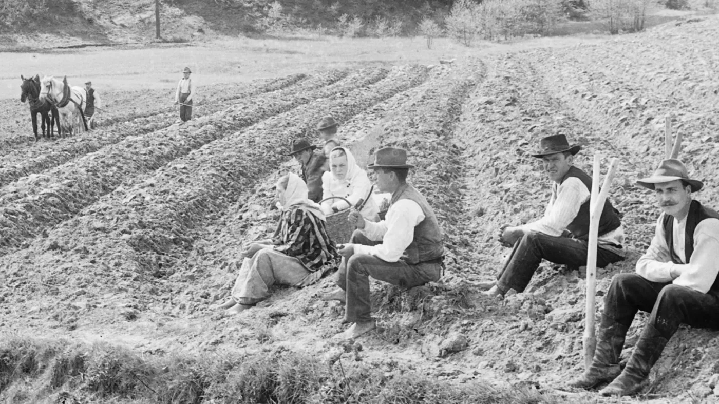 Wsi spokojna, wsi wesoła... Sentymentalny QUIZ o wsi czasów PRL