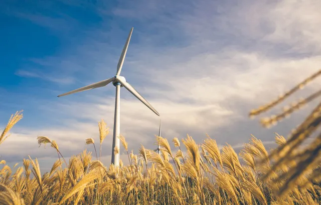 W rywalizacji o innowacje Europa już dawno spadła do peletonu