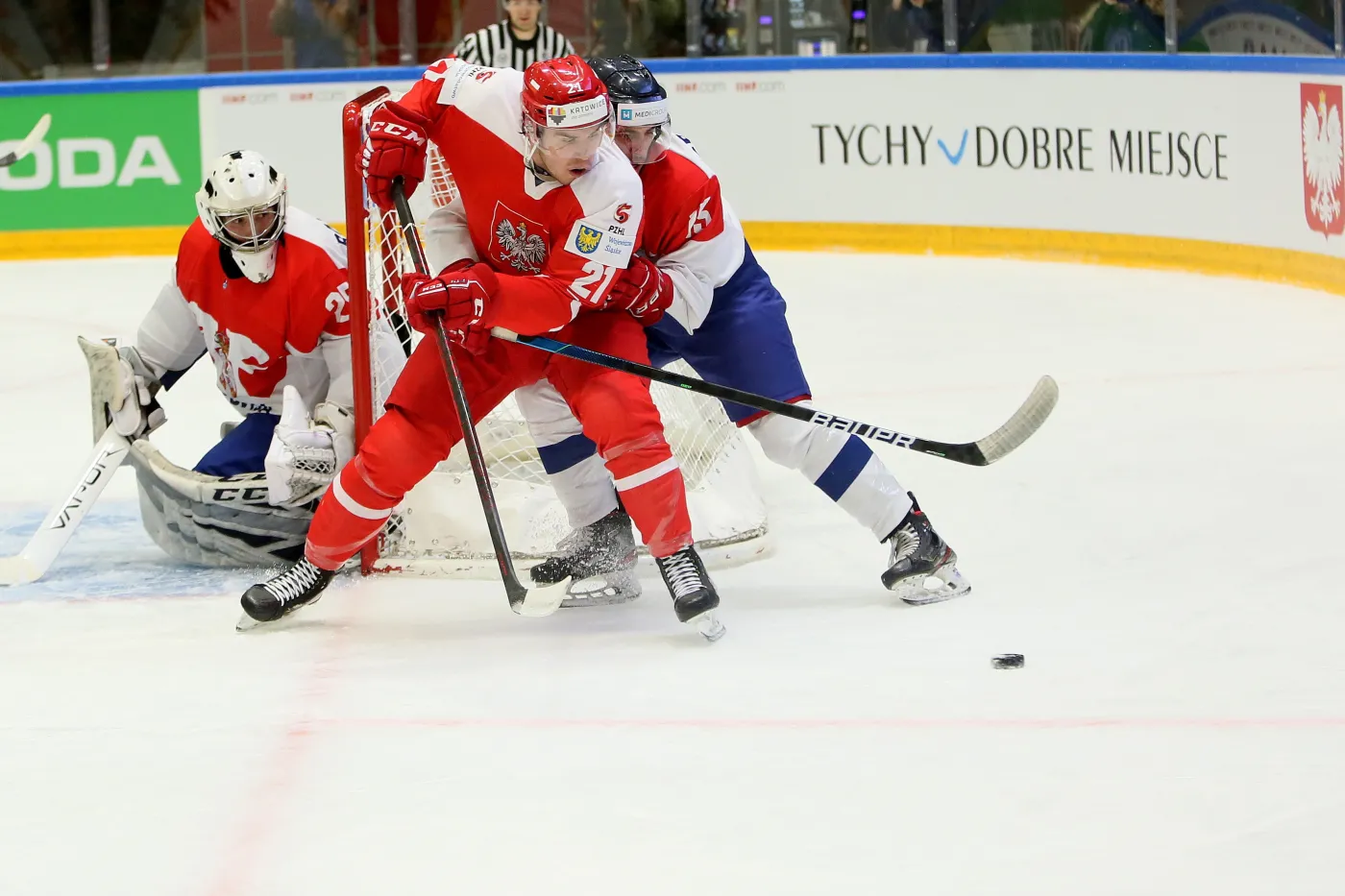 Alan Łyszczarczyk (C) oraz Marko Dragovic (P) i Arsenije Rankovic (L)