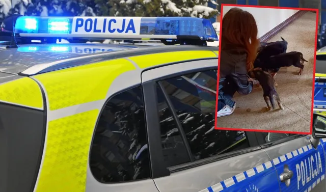 Horror 7 psiaków. "Bez wody i jedzenia". Gdzie właściciel?