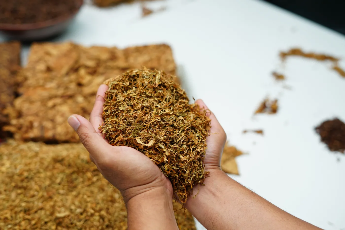 Ważna zmiana dla palaczy wejdzie w życie już za kilka tygodni