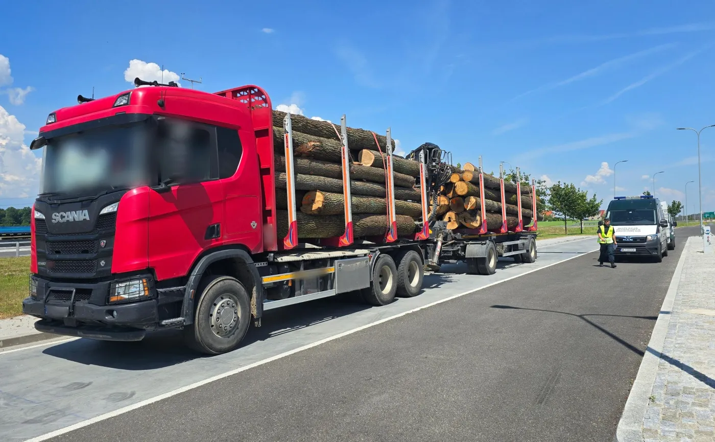 patrol-itd-zatrzymal-zespol-pojazdow-przewozacy-ladunek-drewna-38206821.jpeg