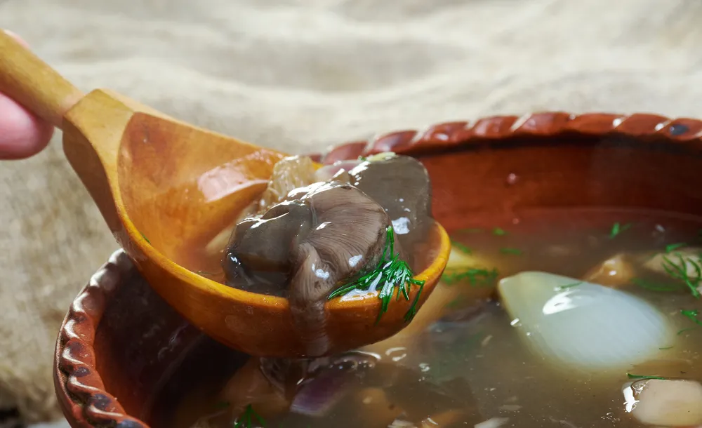 Zupa ze świeżych leśnych grzybów od Ewy Wachowicz ma wyjątkowy smak. Poznaj tajny składnik