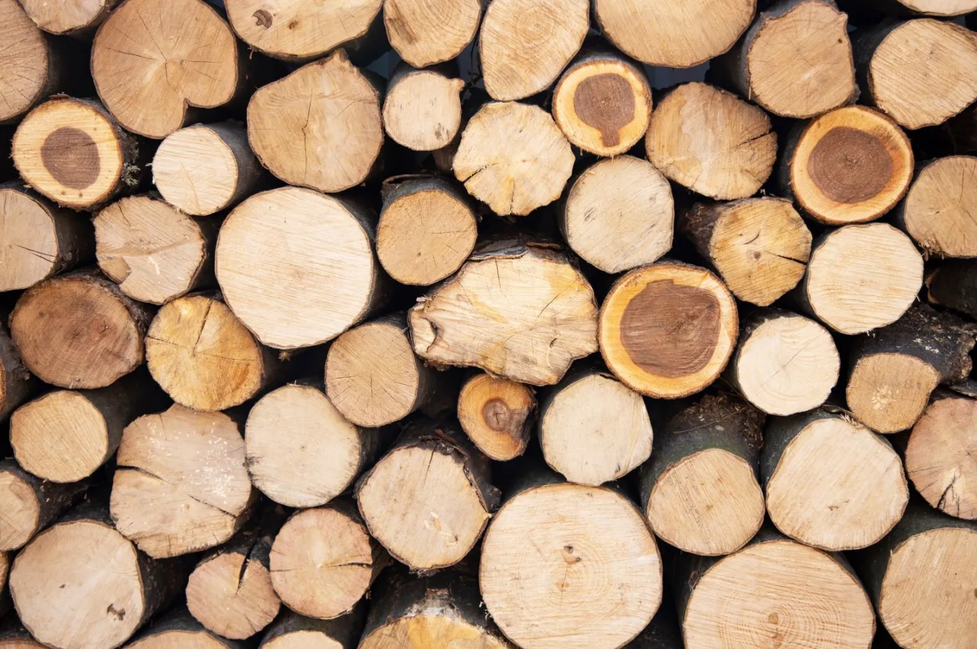 Rewolucja w paleniu drewnem!. Nowe rozporządzenie zmienia zasady - pełnowartościowe drewno nie do spalenia od września 2025