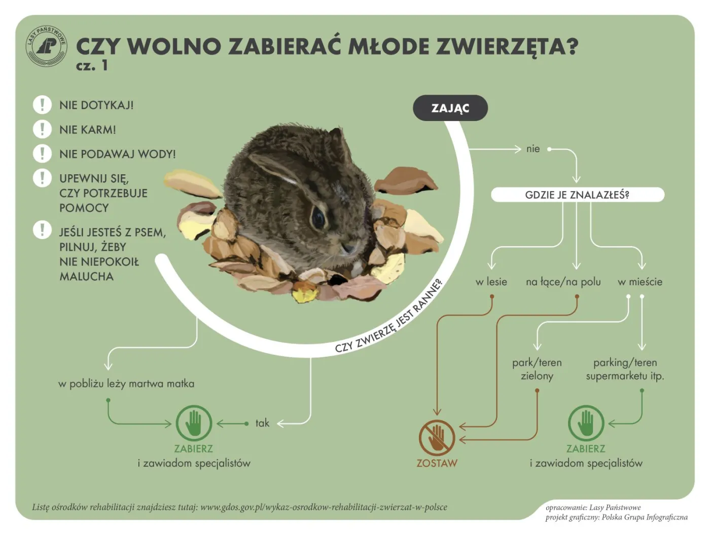 mlode-dzikie-zwierzeta-znalezione-maly-ptaszek-piskle-lasy-gov-38507127.jpg