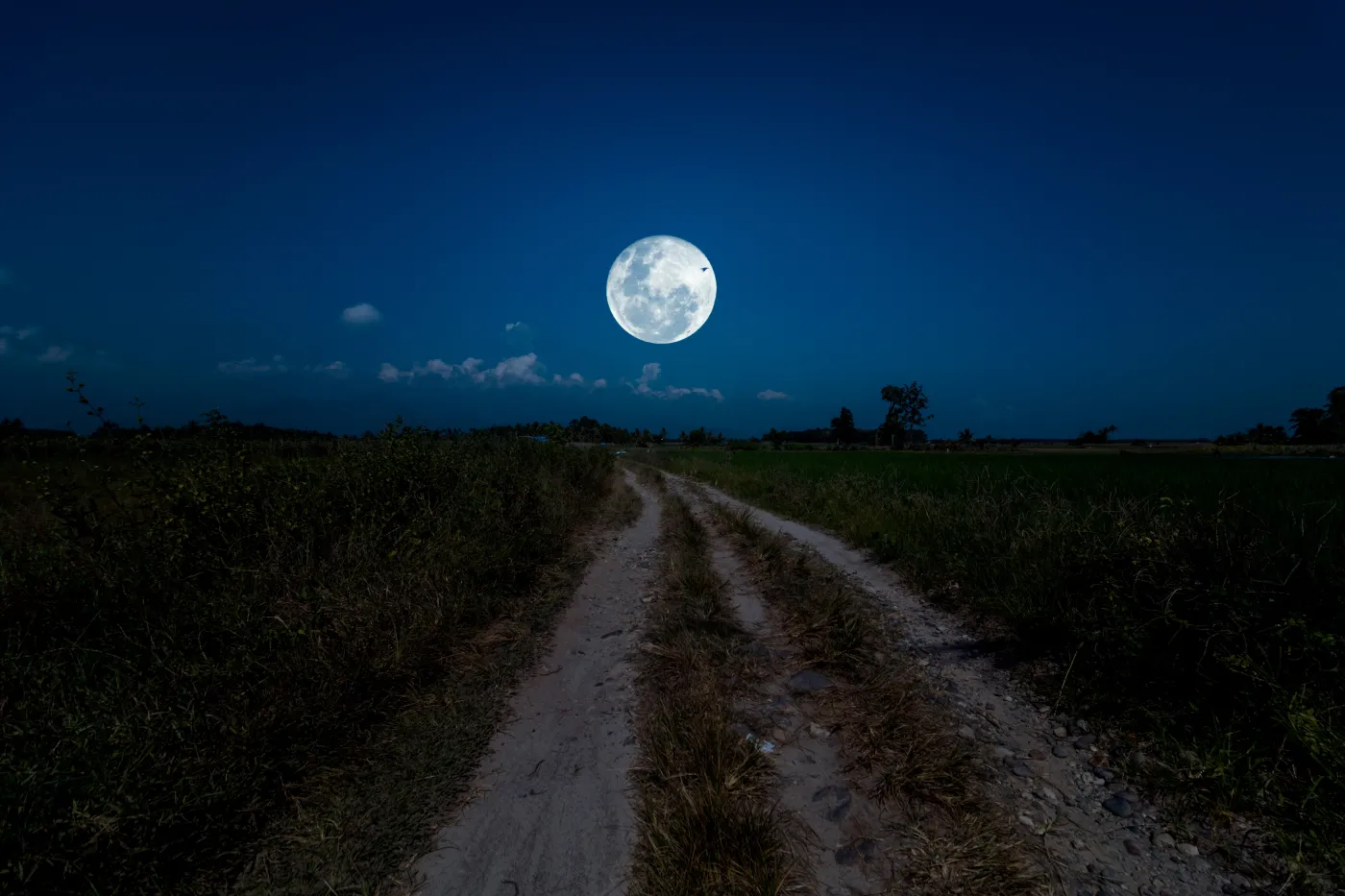 Pełnia w sierpniu 2025. Kiedy wypada i co przyniesie?