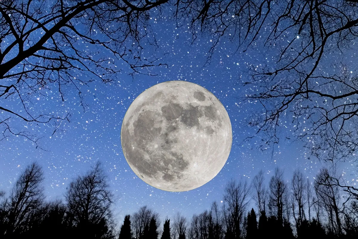 pełnia księżyca grudzień 2024 kiedy godzina nazwa znak zodiaku