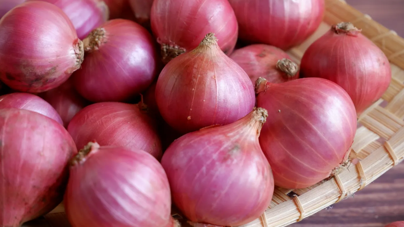 Cebula – niepozorne warzywo o wielkiej mocy. Jak ją wybierać, kroić i dlaczego nie wolno podawać jej psom?