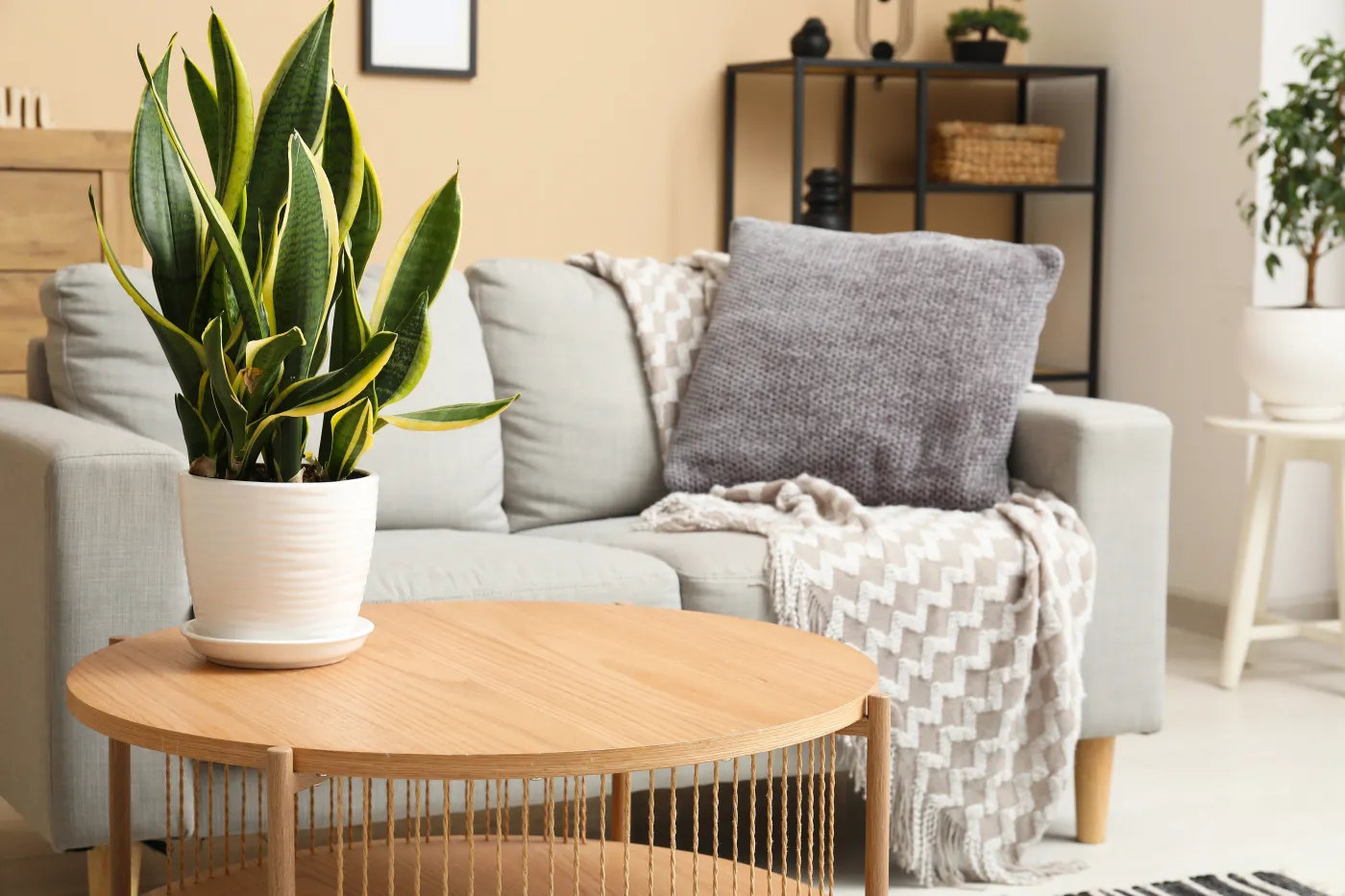 Zostaną zakazane i znikną ze sklepów. Ma je w domu niemal każdy