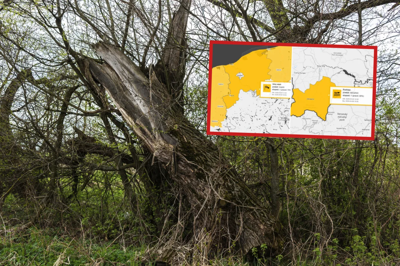 Alert IMGW dla 10 województw. Silny wiatr, przymrozki oraz roztopy