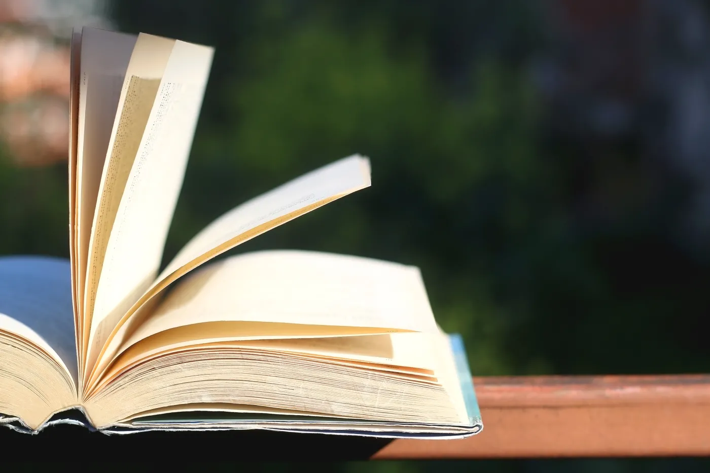 Open,Book,In,A,Garden.,Selective,Focus.