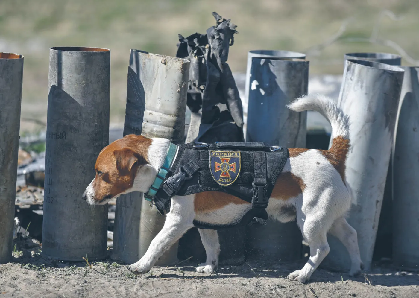 Wiceszef OSW: Ukraińcy pokazują, że są mistrzami świata w polityce informacyjnej