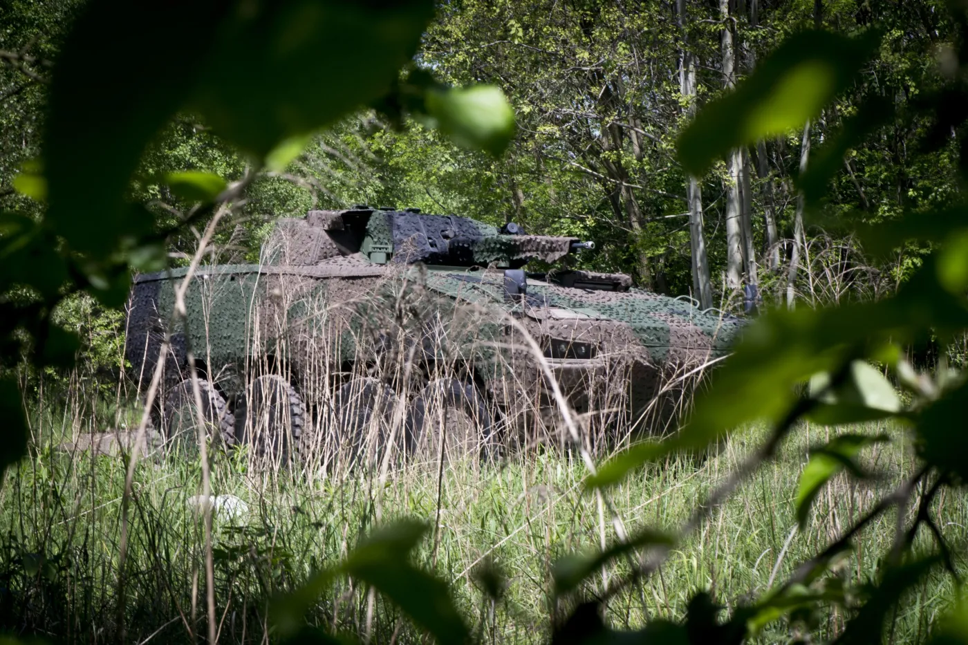 nowy-kamuflaz-polskiej-firmy-miranda-military-zalozony-na-rosomaka-38273318.jpg