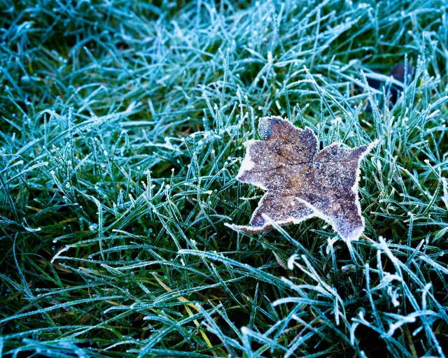 Ostrzeżenie IMGW. Przymrozki niemal w całym kraju. Tam będzie najzimniej