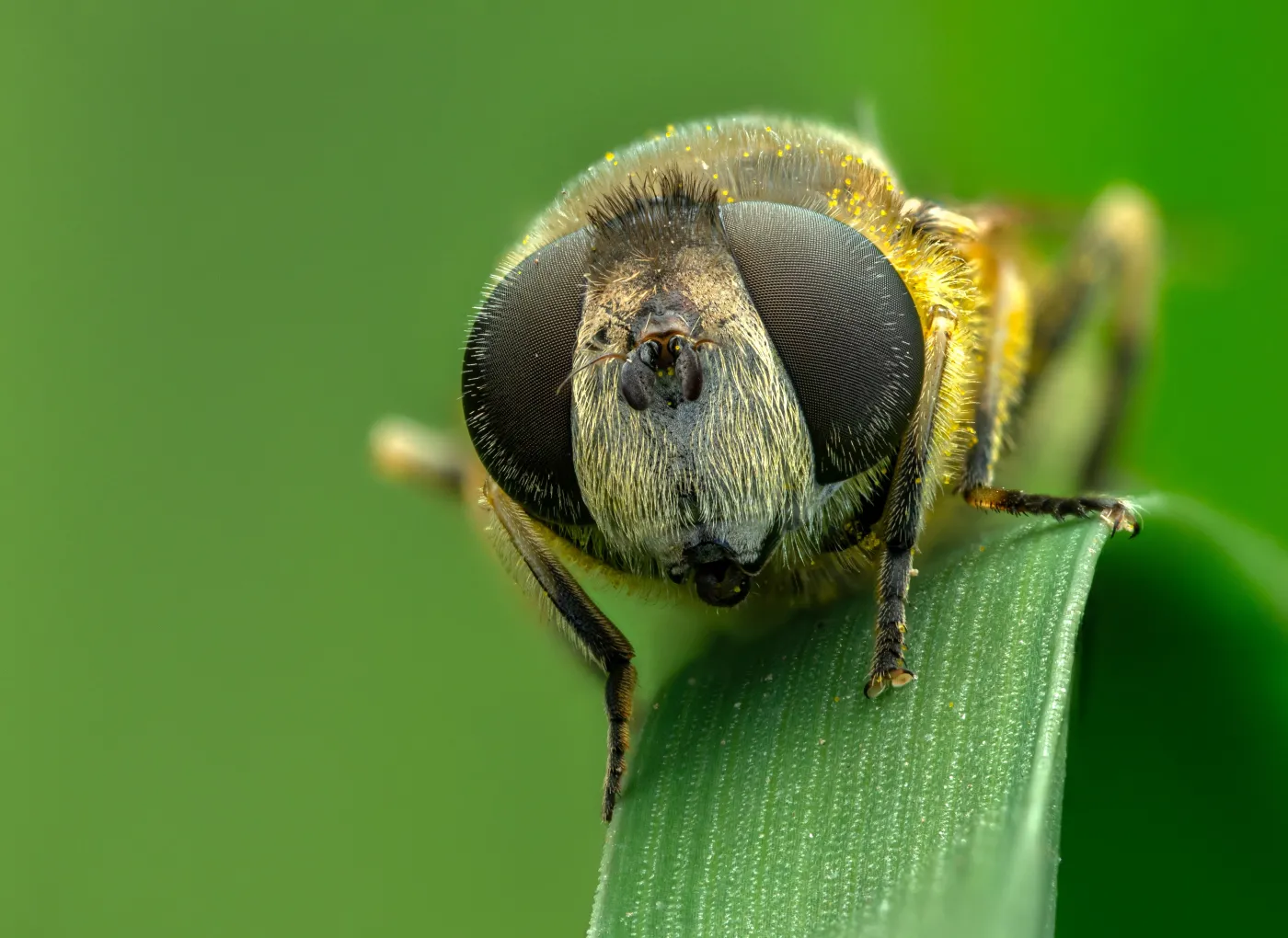  Przyjemny QUIZ z biologii. Uczeń da radę, a Ty? Dwa pytania to podstęp
