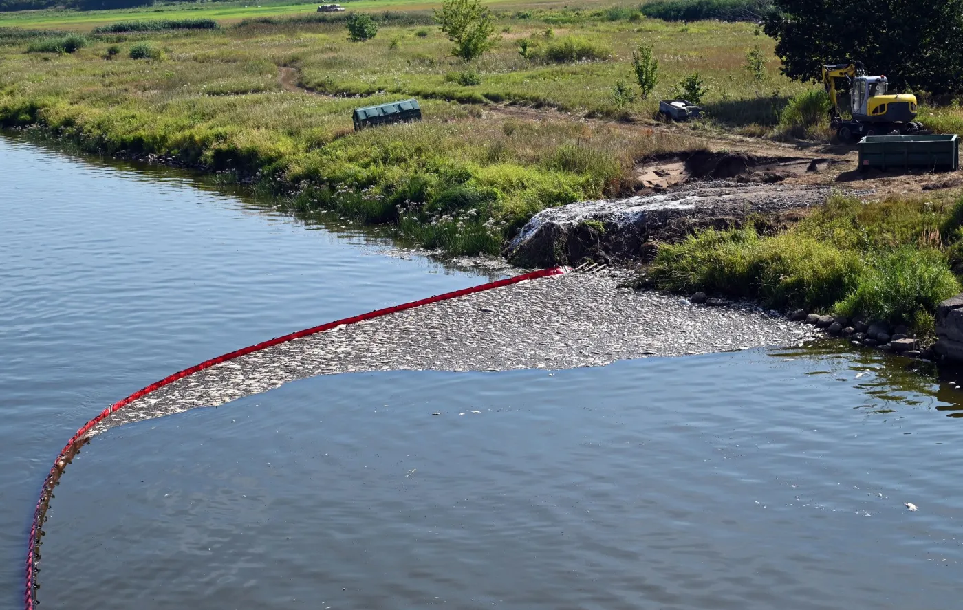 akcja oczyszczania rzeki