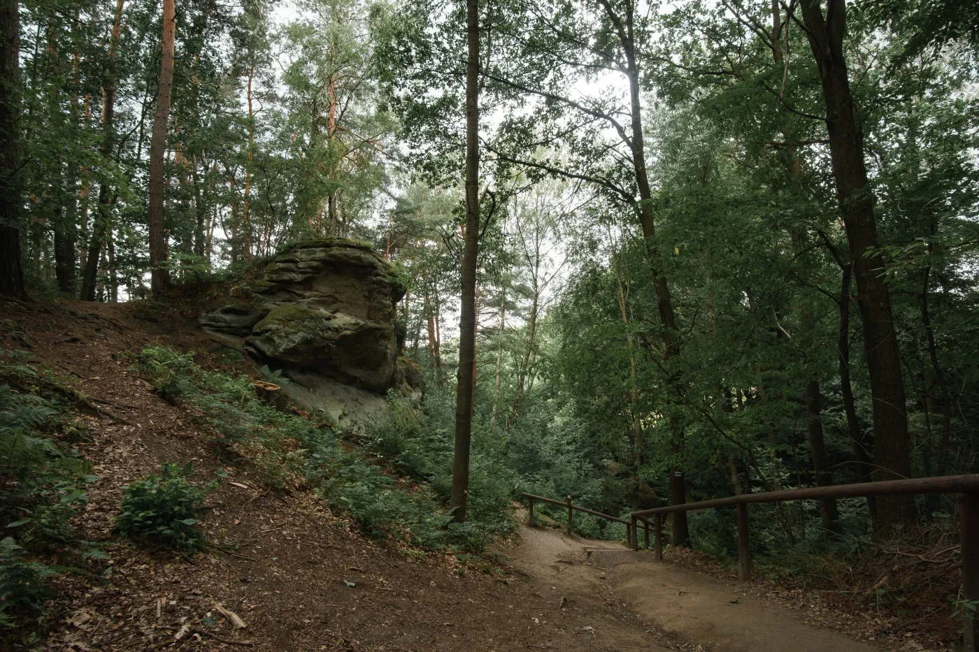 A,Reserve,In,Ci??kowice,A,Petrified,City