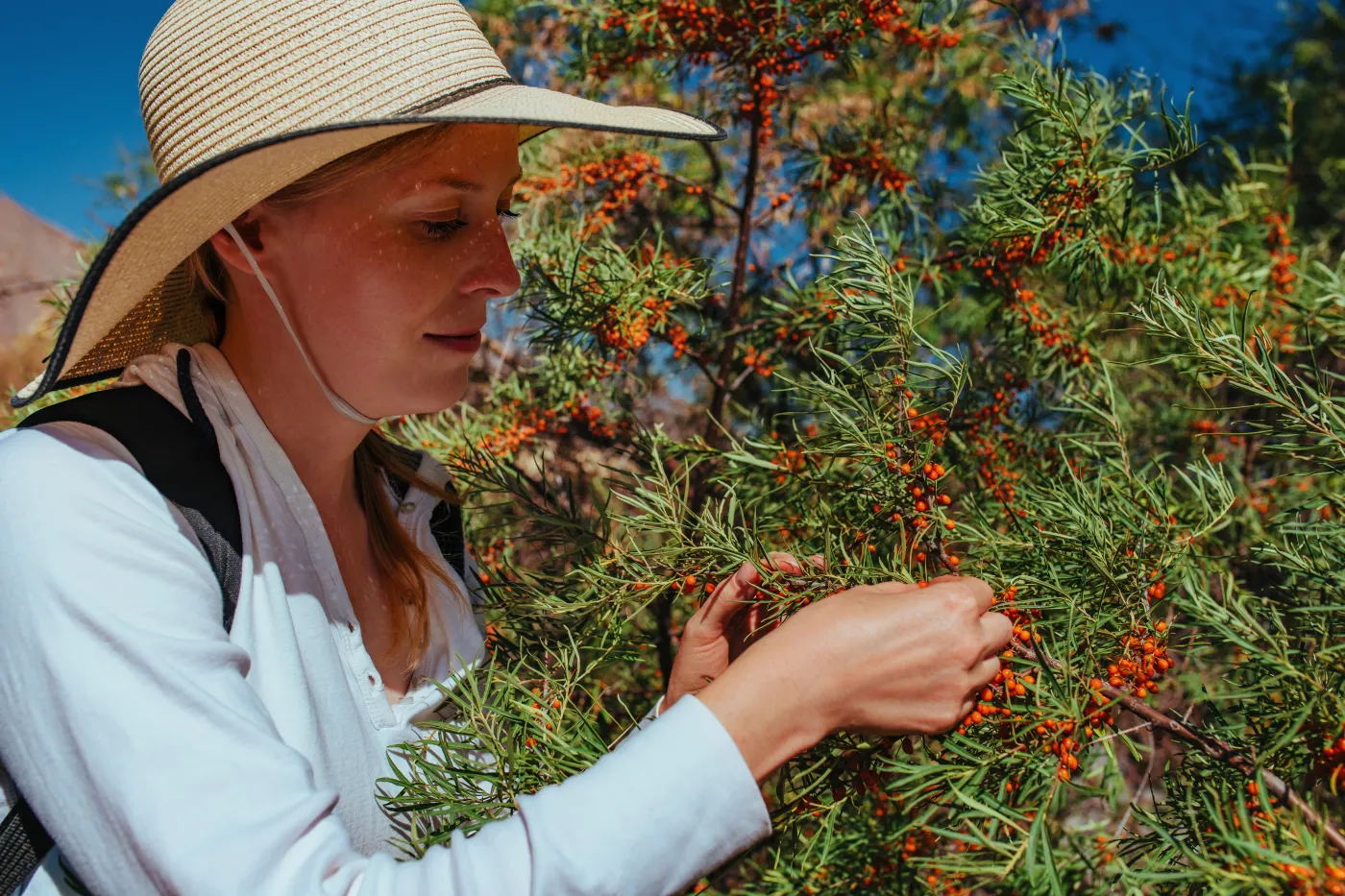 Potrzebujesz witaminy C, ale nie lubisz cytrusów? Sięgnij po te produkty [TOP 9]