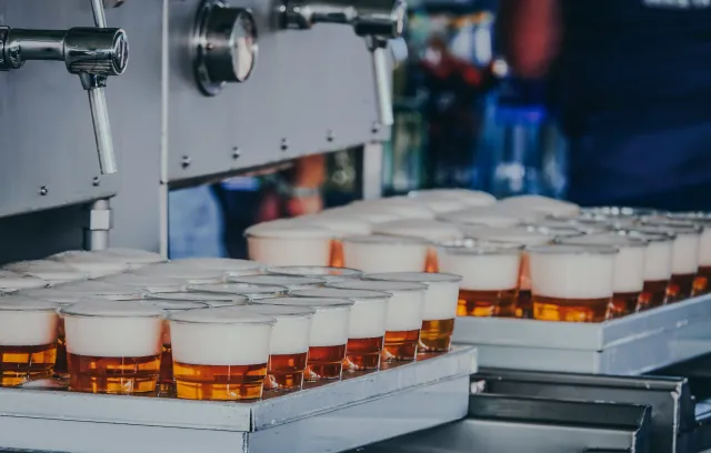 Koniec pysznego piwa? Naukowcy ostrzegają: zmiany klimatu uderzą w chmiel