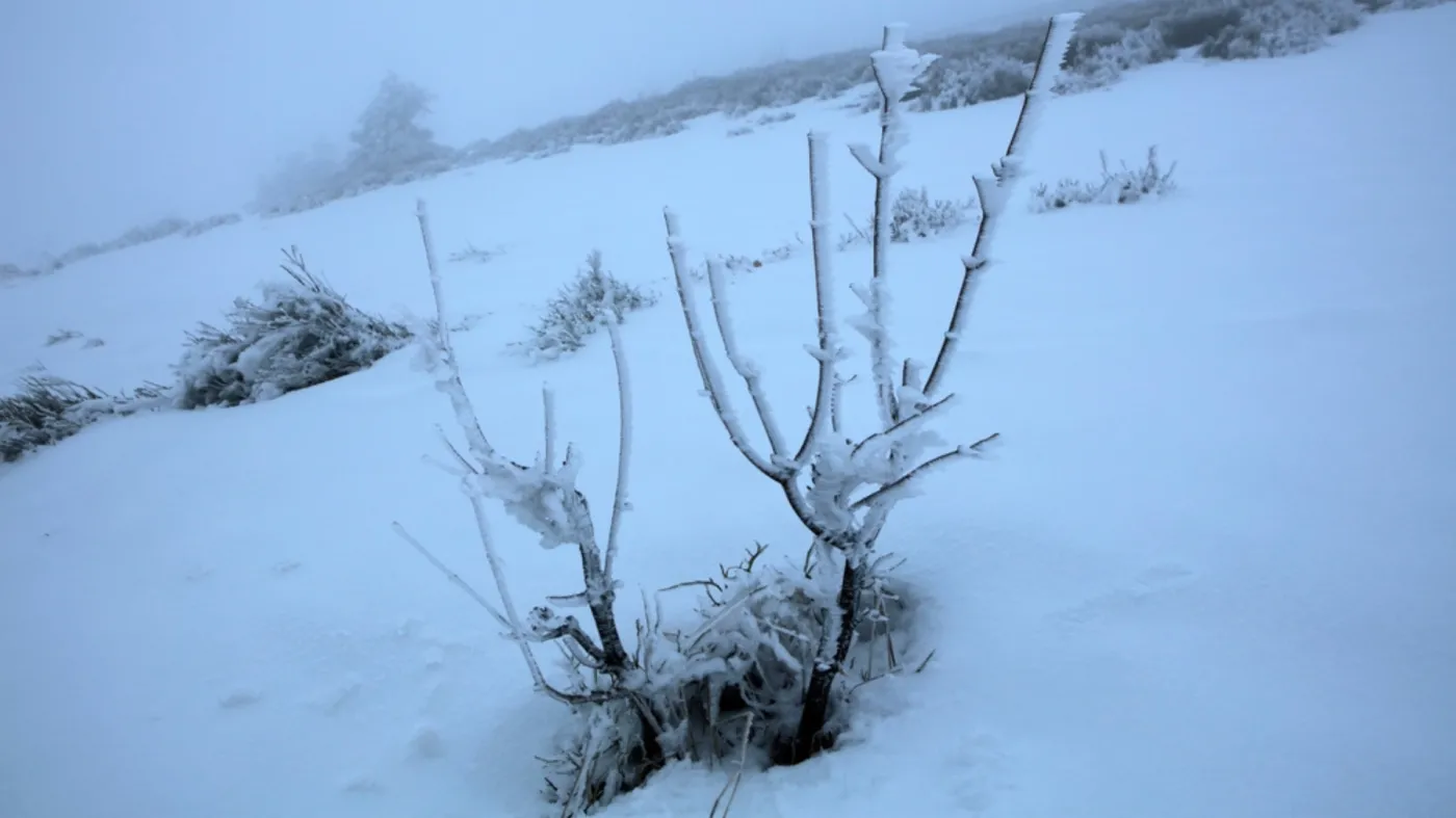 Mapy synoptyków zaskakują. W Europie nie było takiego zjawiska od wielu lat