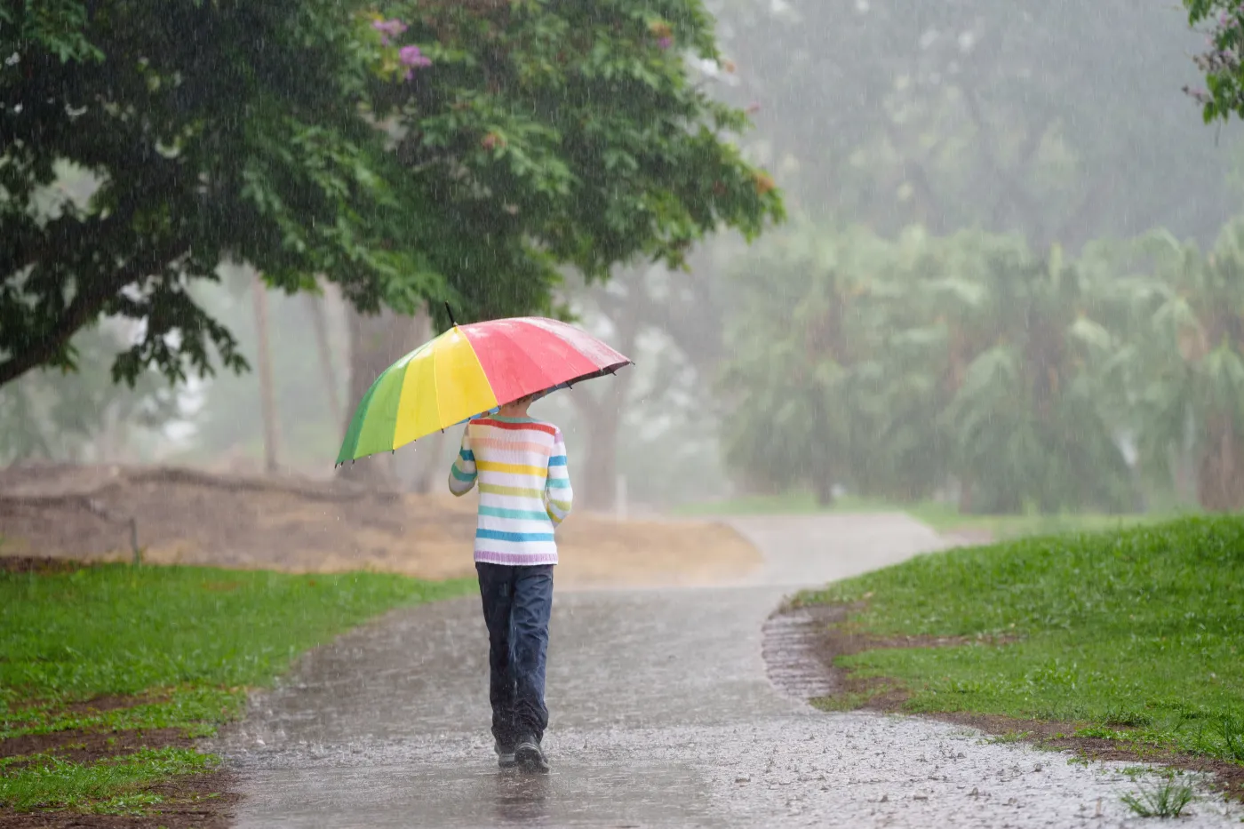 Child,Playing,In,Autumn,Rain.,Kid,Jumping,In,Muddy,Puddle