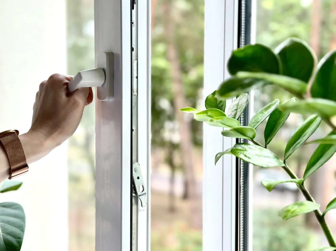 Jedna rzecz w wodzie i okna lśnią bez smug. Ten trik znały już nasze babcie