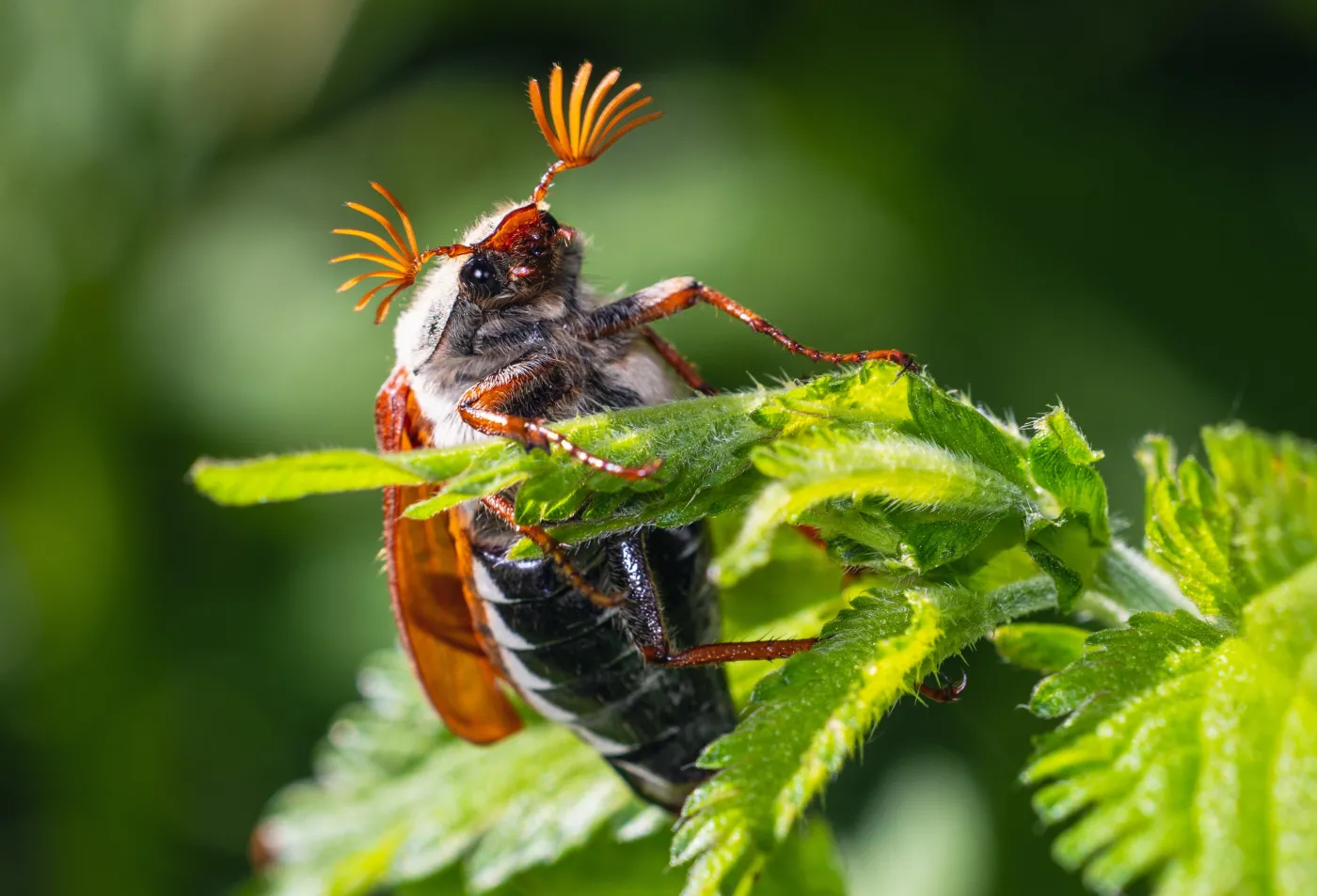 Wielki quiz biologiczny. Sprawdź, ile wiesz! Mniej niż 5/10 to wstyd