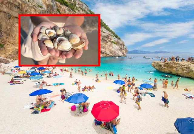 Tego nie wolno przywieźć z Turcji, a tego z Włoch. Zakazane "pamiątki" z wakacji [LISTA]