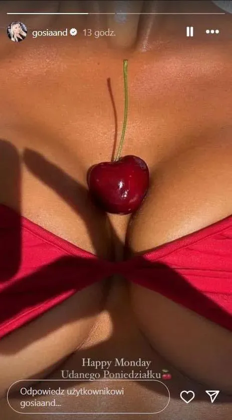 zdjecie-na-instastories-gosi-andrzejewicz-pochodzace-z-profilu-elin-warn-38262187.jpg