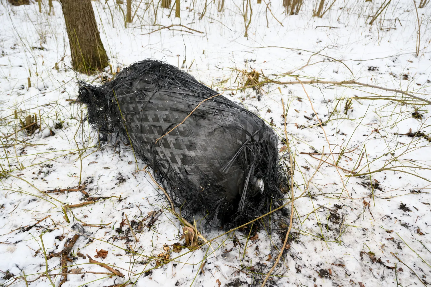 Szczątki rakiety SpaceX spadły na Polskę! Firma Muska komentuje awarię Falcon 9
