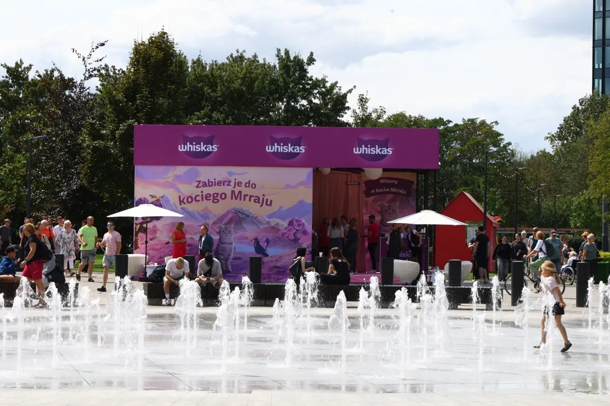 Kiedy kot mówi: „kocham Cię”. Co zdradzają jego gesty, mruczenie i osobowość?