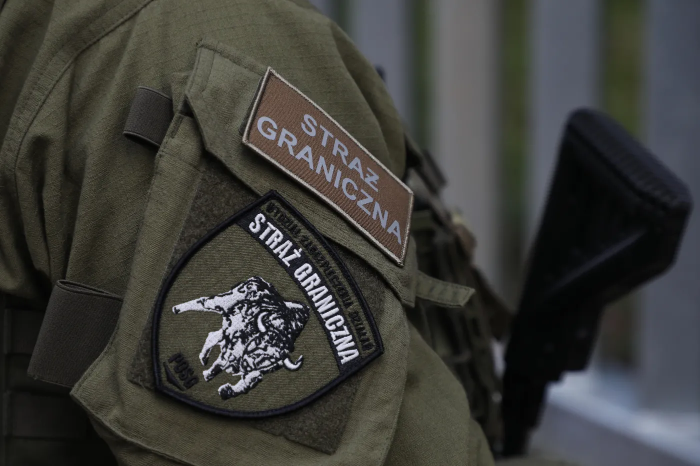 Funkcjonariusze polskiej SG ranieni nożem w Gruzji. Jeden już po operacji