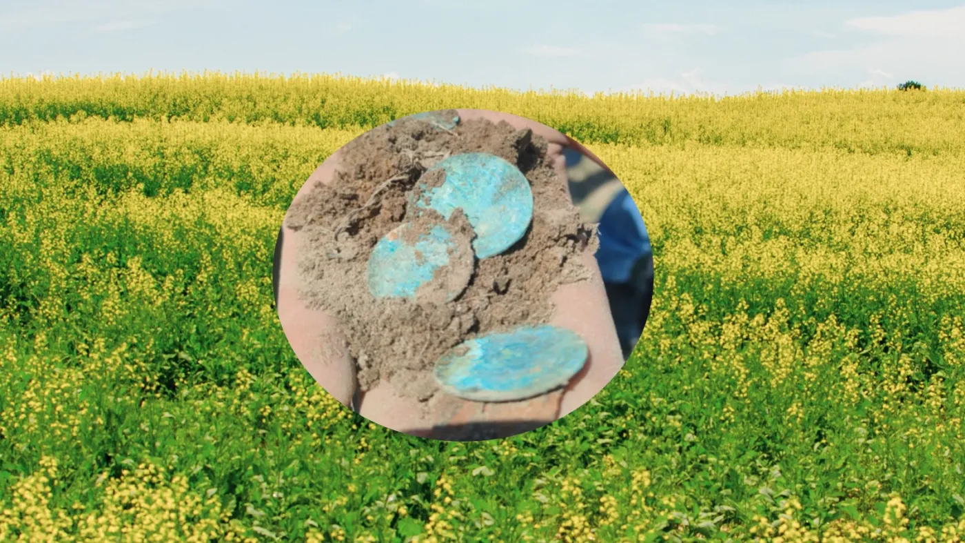 Rolnik znalazł bezcenny skarb na polu. A poszedł zbierać kamienie