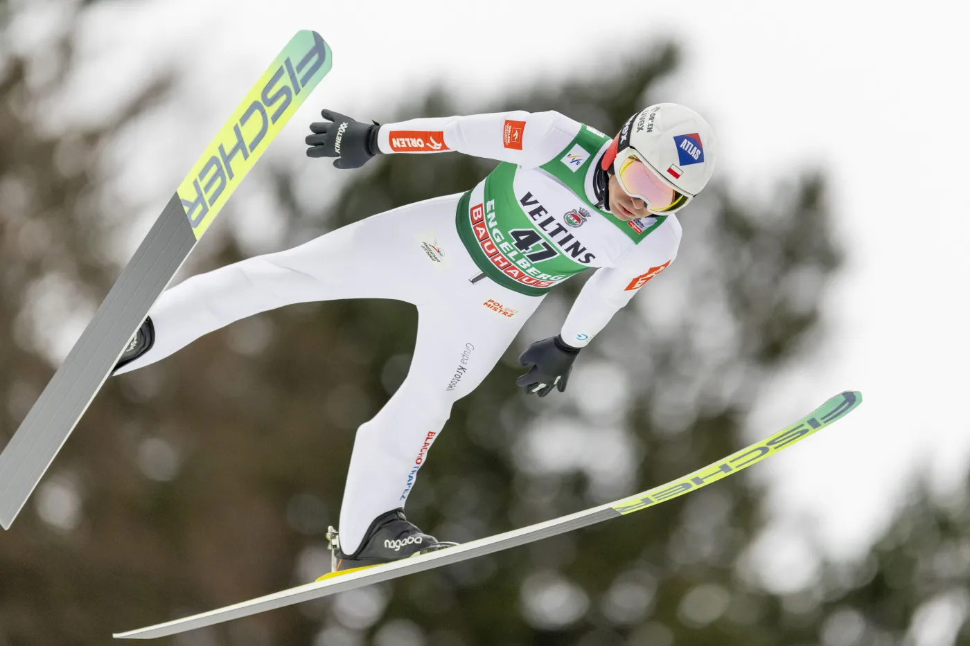 PŚ w skokach. Tomasiak najlepszy z Polaków w kwalifikacjach w Engelbergu